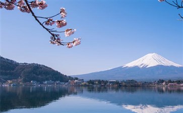 日本春季河口湖樱花-重庆到日本旅游赏樱线路