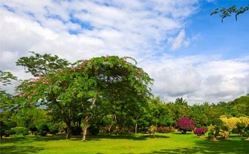 花卉园景区-西双版纳旅游