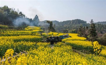 嘉阳小火车-四川旅游-重庆中青旅