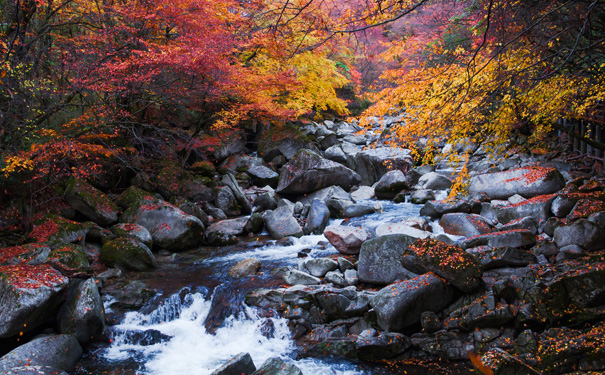 四川光雾山红叶节旅游