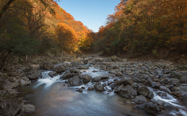 四川光雾山红叶节旅游