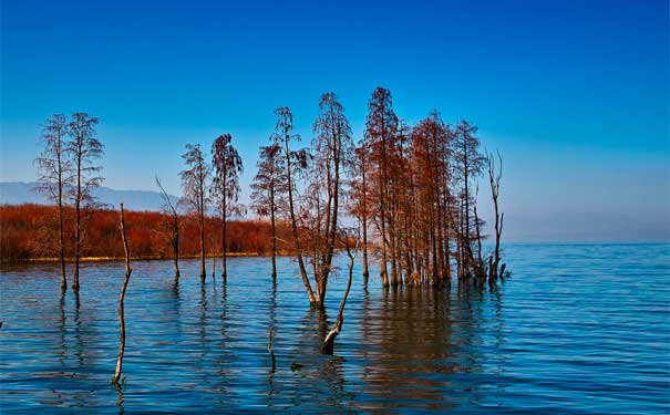 云南大理旅游