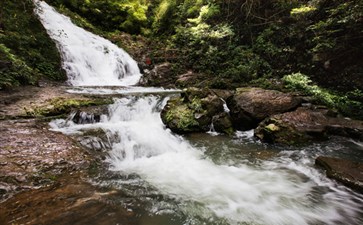 重庆黑山谷一日游-特价黑山谷旅游-重庆中青旅