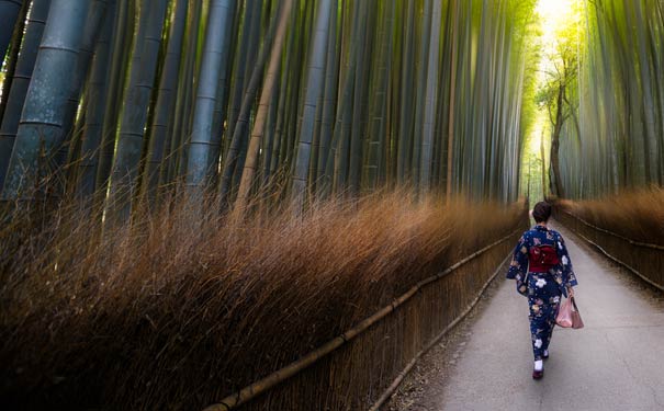 秋天日本旅游推荐：岚山秋季