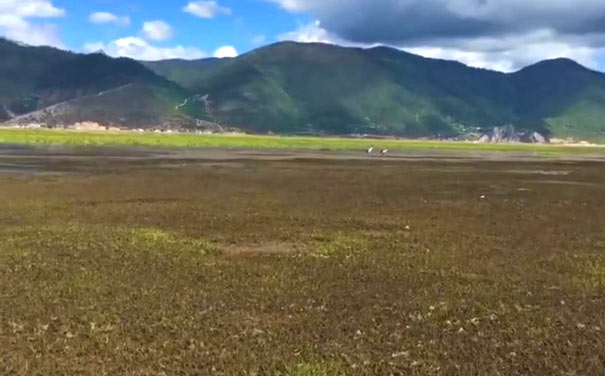 秋冬云南旅游景点推荐：纳帕海