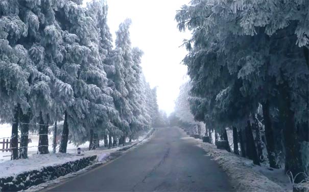 重庆仙女山雪景