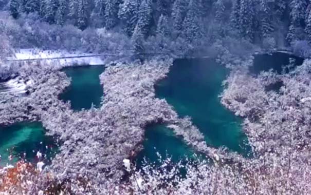 川西春节旅游：九寨沟雪景