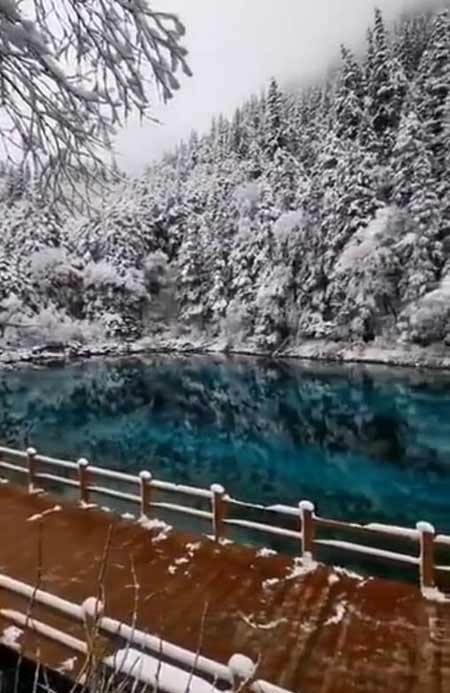 川西春节旅游：九寨沟雪景