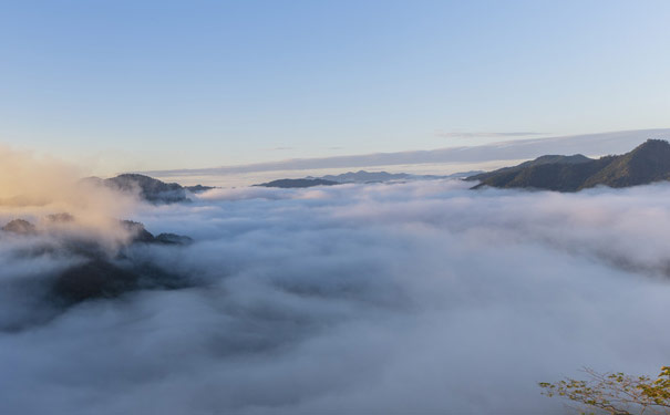 福建旅游：武夷山云海