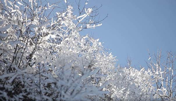 重庆周边雪景：巫溪红池坝