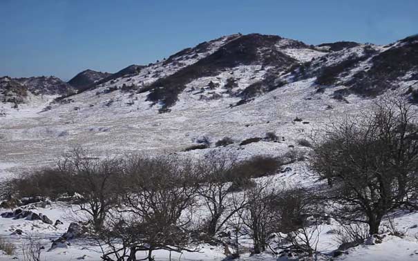 巫溪红池坝雪景