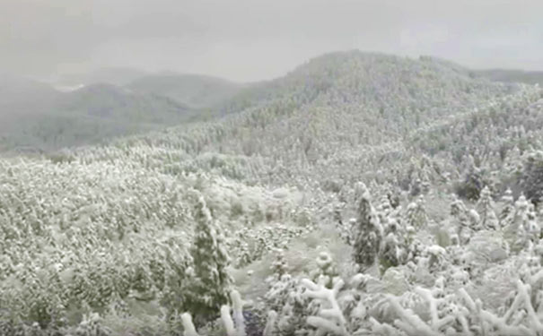 武陵山雪景