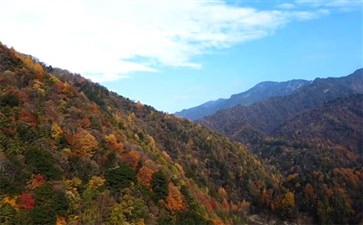 陕西秦岭黄柏塬大岭子秋季景色