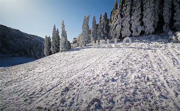 2022金佛山下雪了吗：2022年12月金佛山雪景