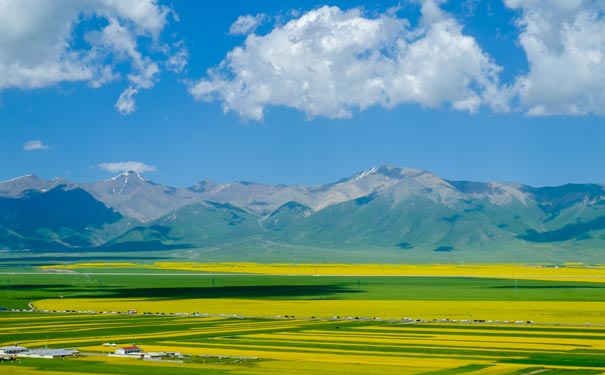 江西婺源油菜花景区