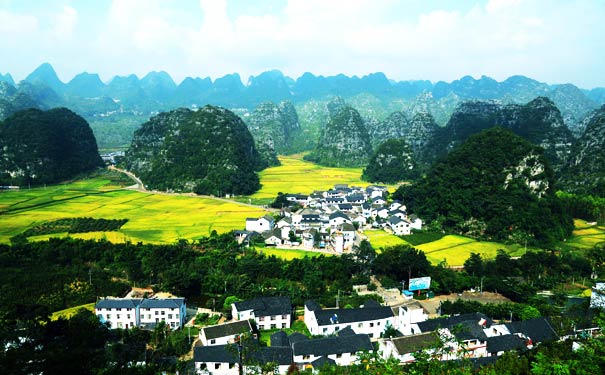 万峰林油菜花景区