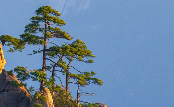 黄山旅游：黄山景区