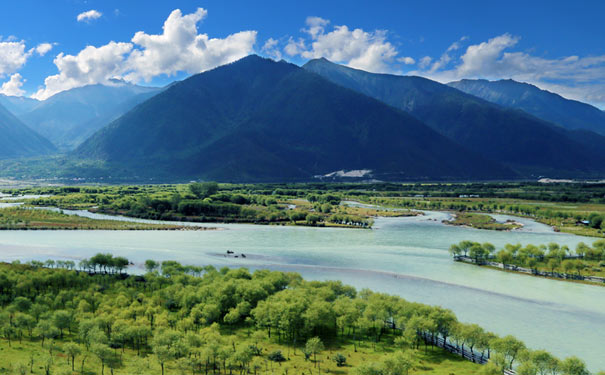 西藏林芝旅游：雅尼湿地