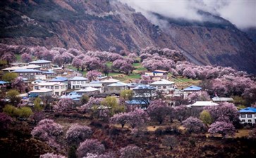 嘎啦桃花村