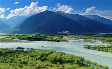 林芝雅尼湿地