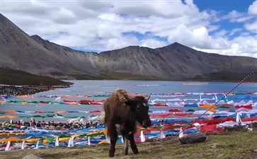 山南思金拉措财神湖