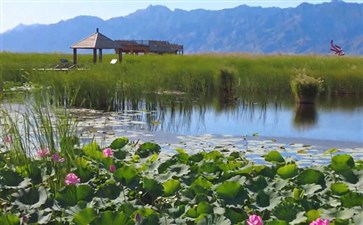 内蒙古敕勒川草原文化旅游区哈素海