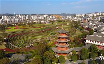 奢香古镇古彝梯田