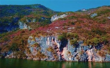 巫山小三峡红叶