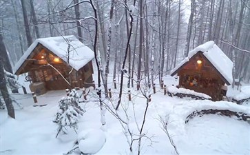 日本北海道森林精灵露台