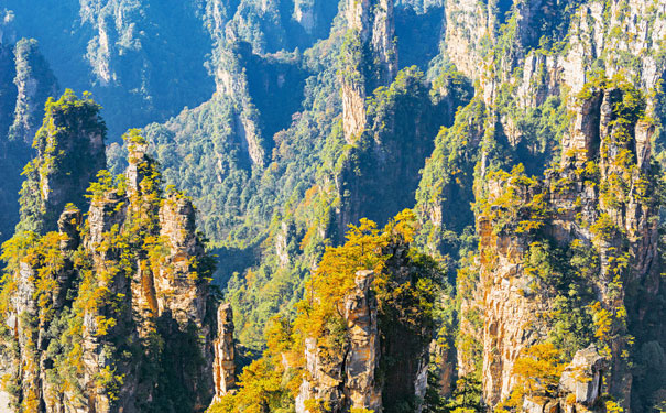 【常规旅游团】湖南张家界袁家界天子山双飞四日游旅游团