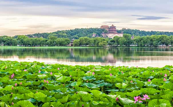 春节北京双飞五日游【慢游】(纯玩游无自费)