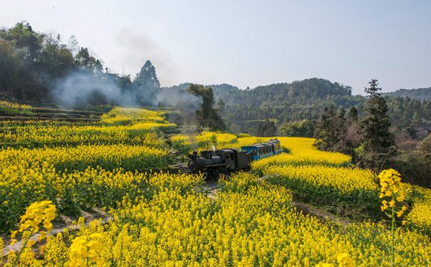 罗城古镇+嘉阳小火车文明之旅汽车2日游[四星酒店+重庆出发]