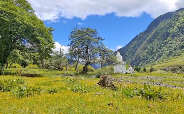 [穿越理小路]四川四姑娘山+毕棚沟+猫鼻梁三日旅游[纯玩]