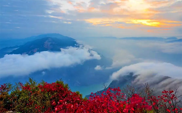 [三峡红叶节]巫山神女天路+奉节白帝城+三峡之巅高铁二日旅游[纯玩]